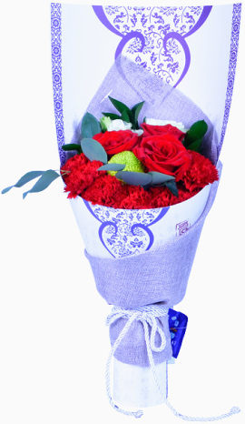 红色的玫瑰康乃馨花效果元素