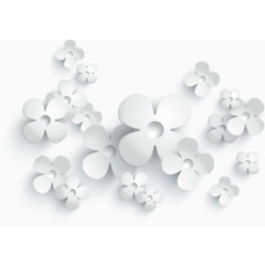 3D立体白花