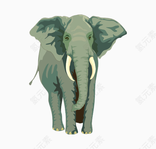 手绘动物大象