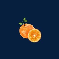 小清新简约手绘水彩橙子
