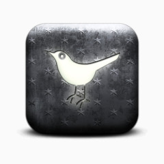 推特鸟动物社会网络社会锡白色的星星图案