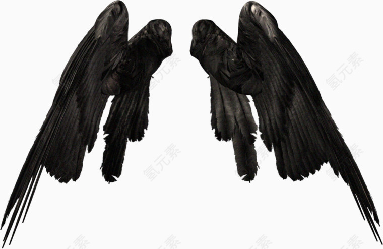 黑色恶魔翅膀