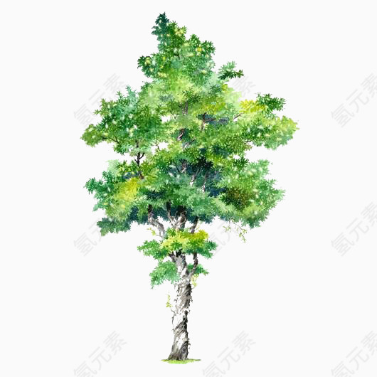 树木元素树木素材