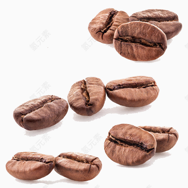 4种咖啡豆