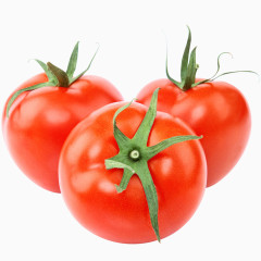 西红柿  番茄