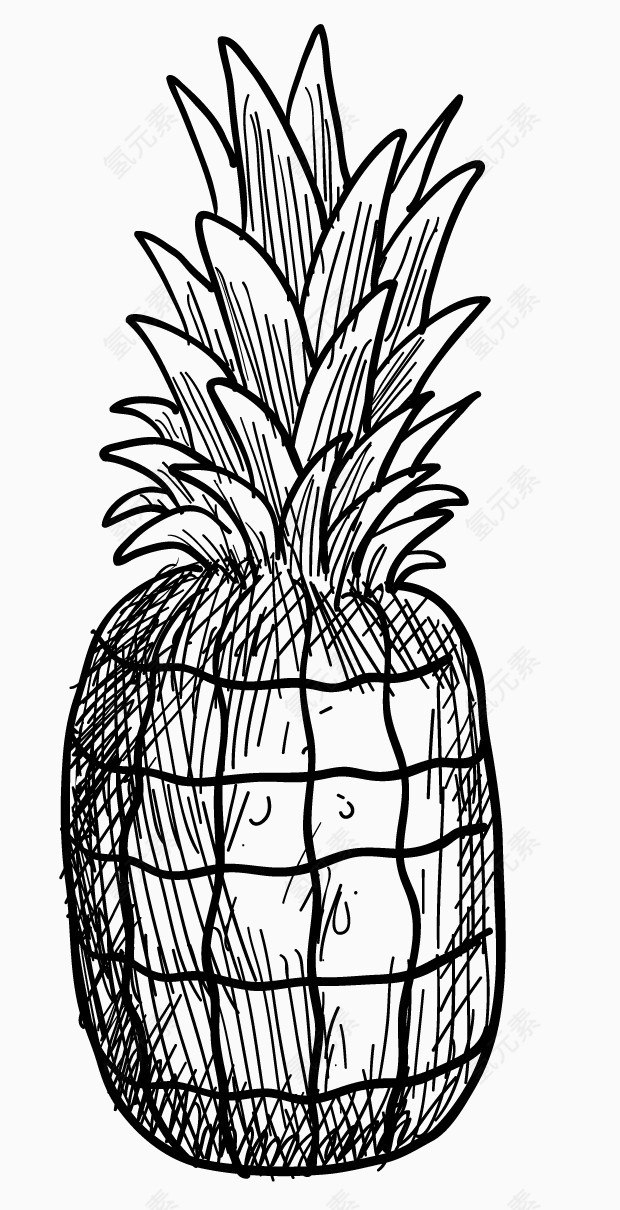 简笔画菠萝