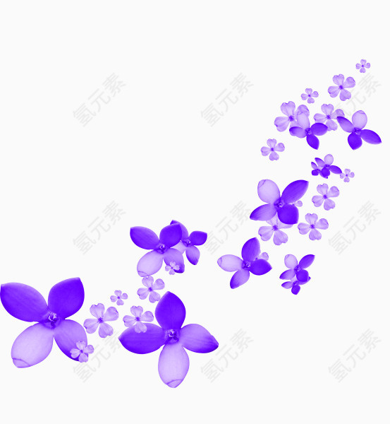 紫色简约花朵