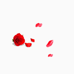 情人节妇女节红色花朵花瓣装饰PNG