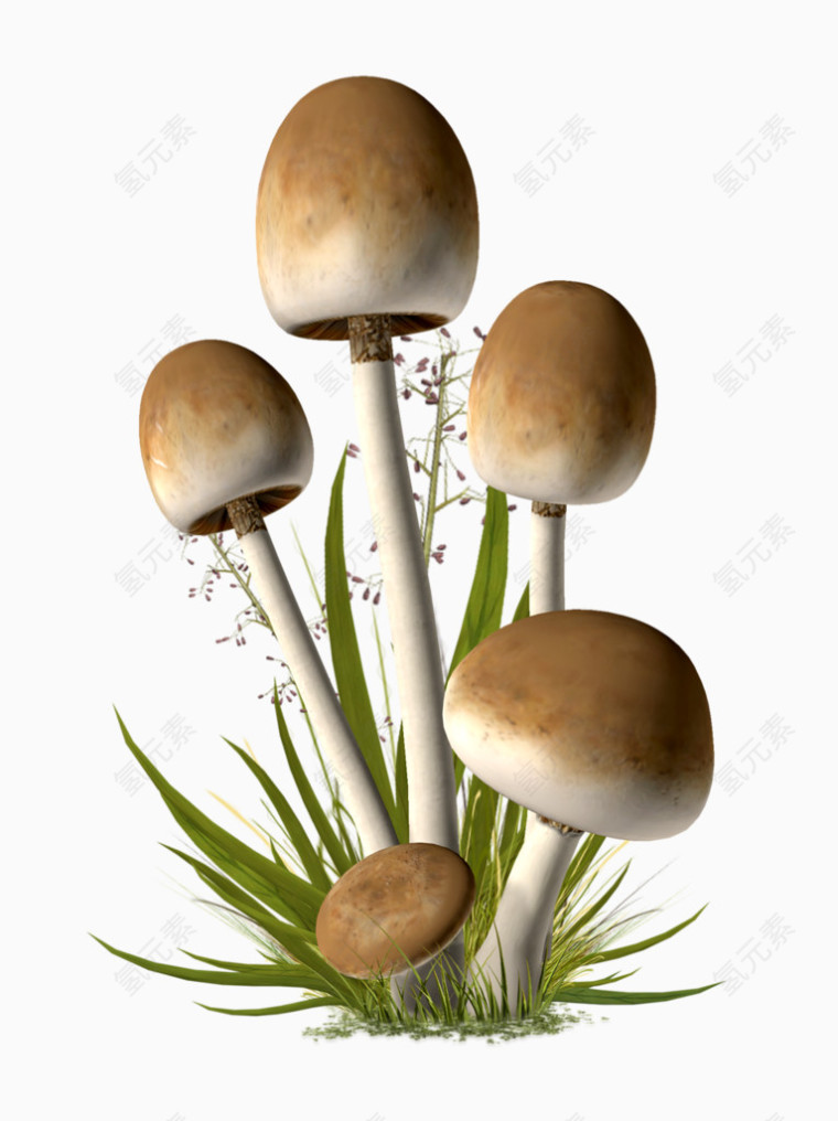 蘑菇植物立体蘑菇动漫风格