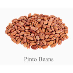 PintoBeans