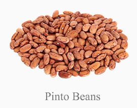 PintoBeans