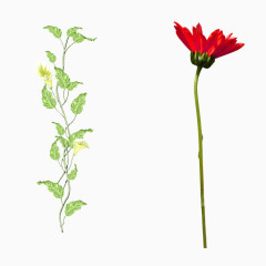 花儿植物绿叶PNG免抠图素材