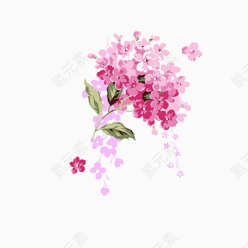 粉红花朵美丽小花15