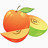 苹果苹果标准农业图标