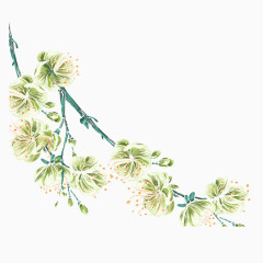 手绘水彩春季花朵素材  