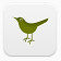 推特鸟inFocus-sidebar-social-icons