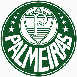 帕尔梅拉斯South-American-Football-Club
