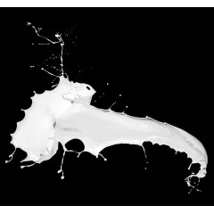 动感牛奶液体奶花 滤色模式 