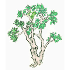 手绘国画绿色树木