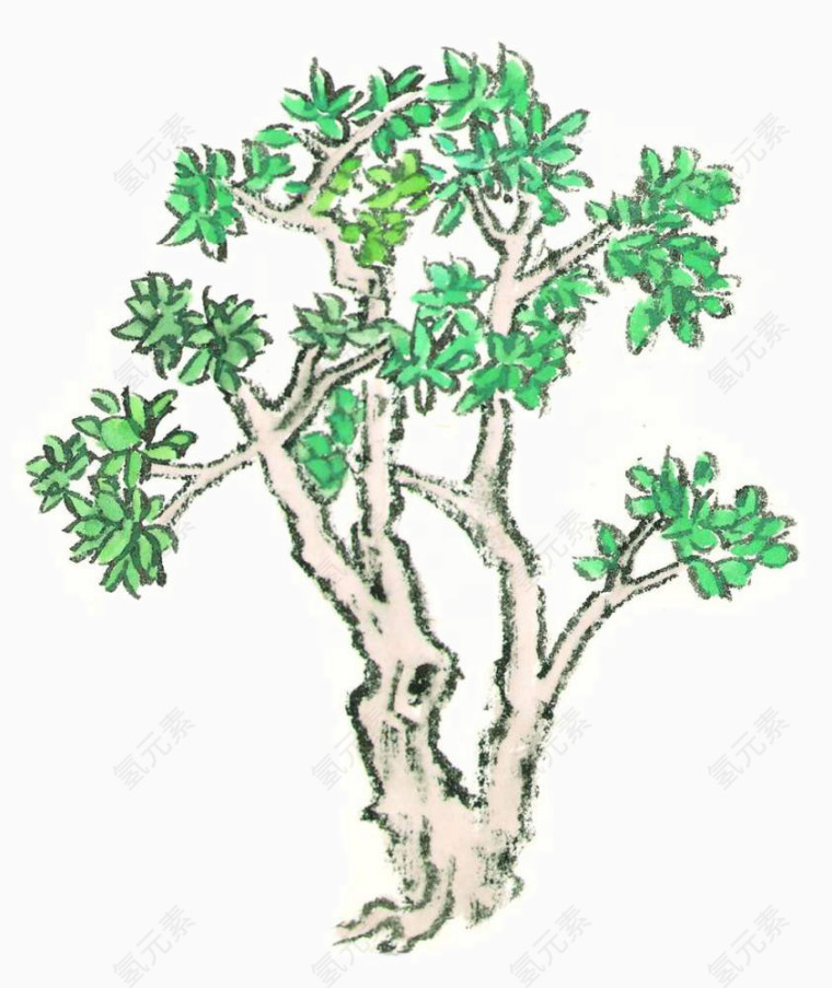 手绘国画绿色树木