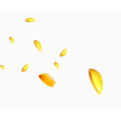 金色花瓣漂亮飞舞素材