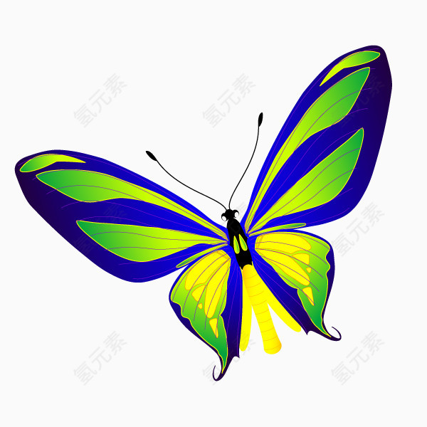 色彩斑斓的蝴蝶素材