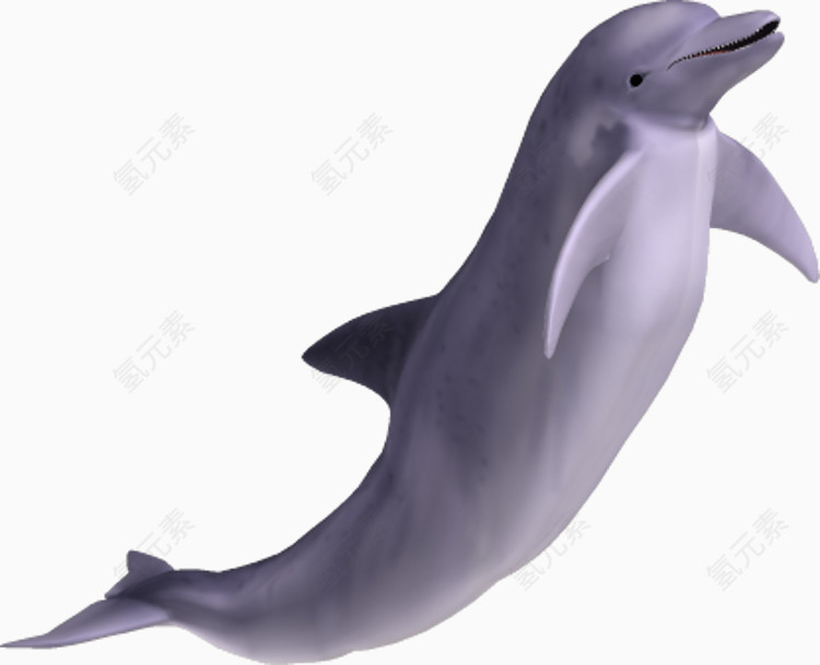 免抠海豚海洋动物