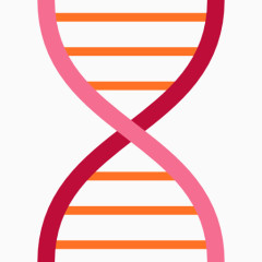科学研究学习系列全套线框图标基因链