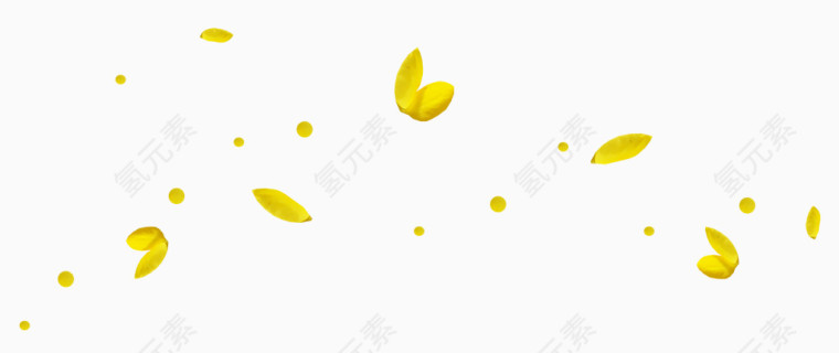 黄色飘逸的花瓣