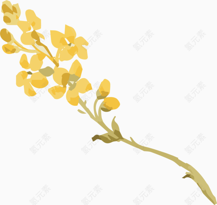 清新手绘唯美水彩黄色花朵
