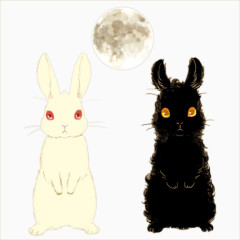 月球黑兔白兔