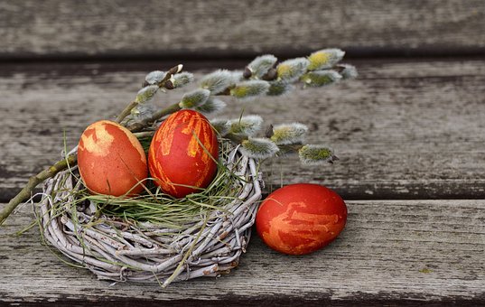 复活节彩蛋,复活节巢,复活节装饰,复活节,鸡蛋,复活节快乐,复活节的问