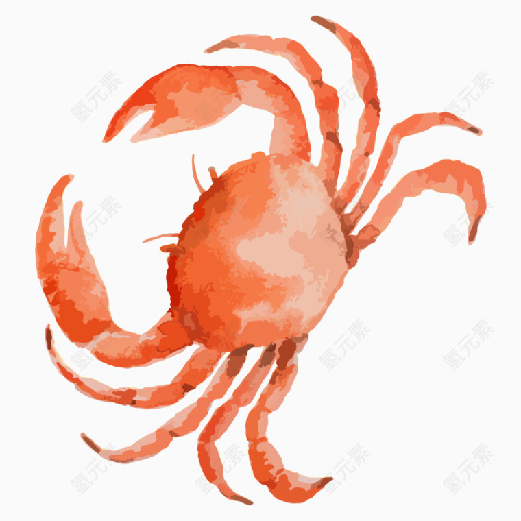 彩绘卡通海鲜螃蟹