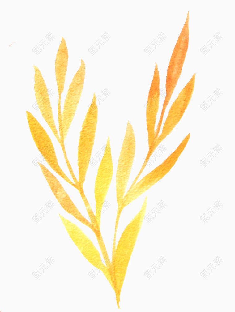 水彩画橙黄色枝叶