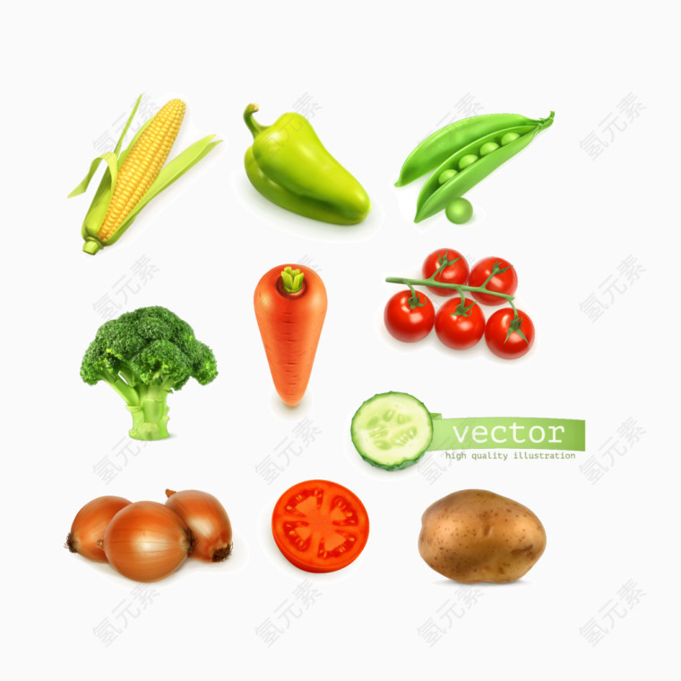 蔬菜青椒1