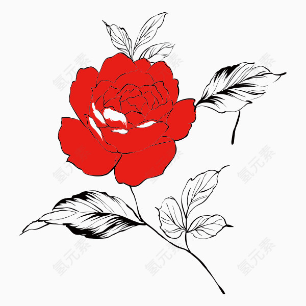 手绘红色玫瑰