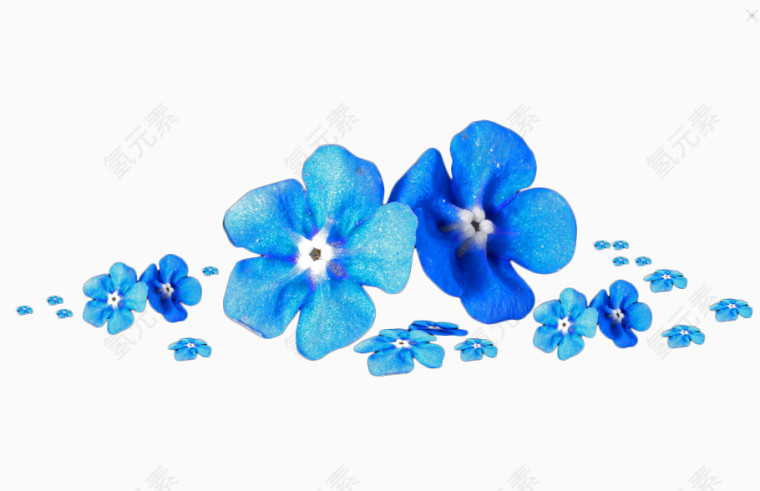 手绘蓝色花朵