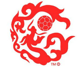 2014亚洲杯标志