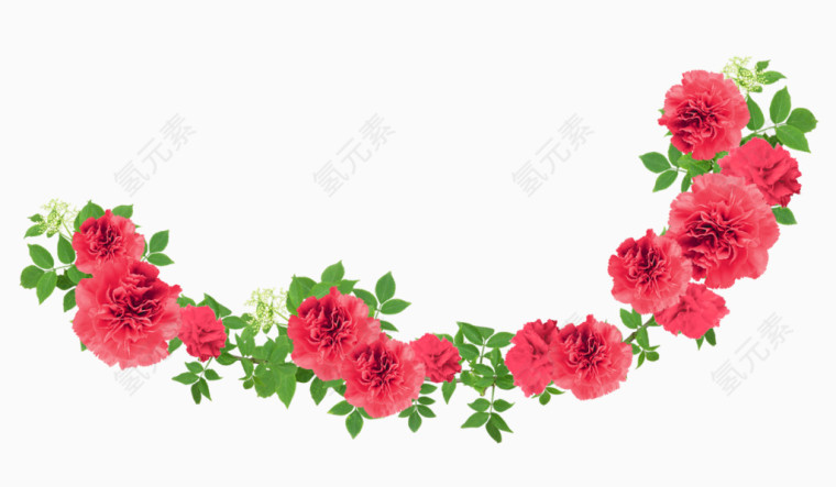 清新红色鲜花花卉植物
