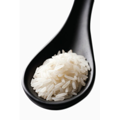 食物水稻大米