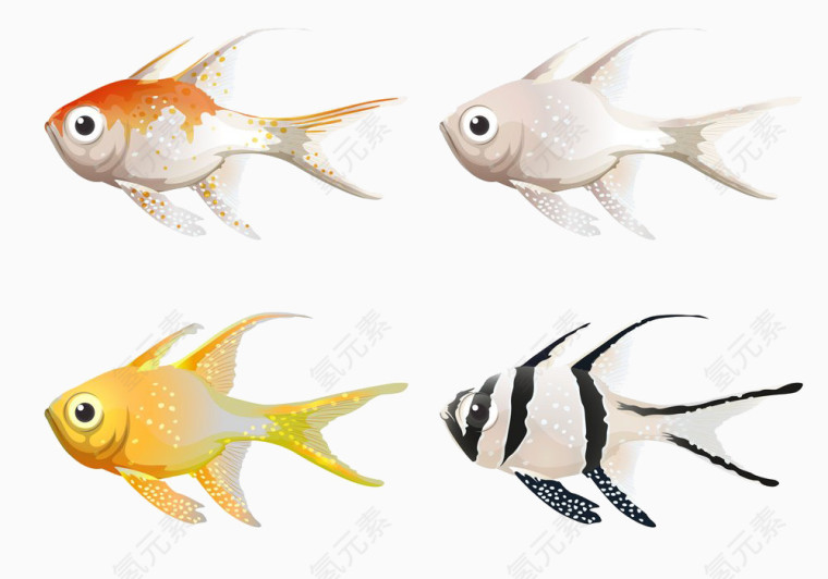 四条美丽的鱼