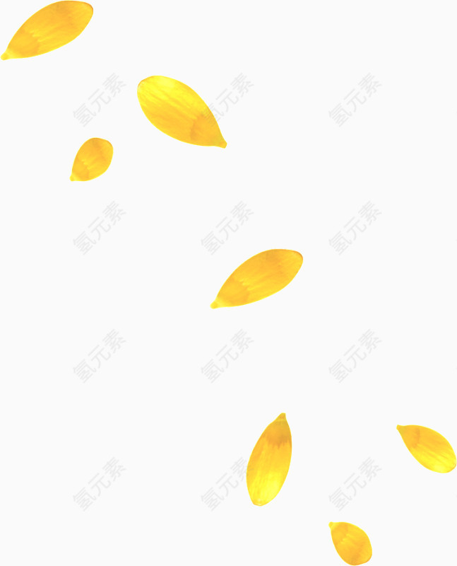 黄色花瓣漂浮元素