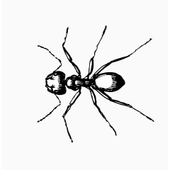 卡通手绘黑色的蚂蚁