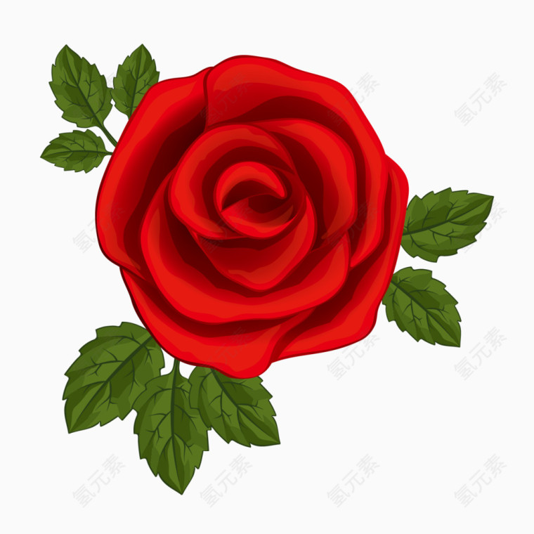矢量红色玫瑰花