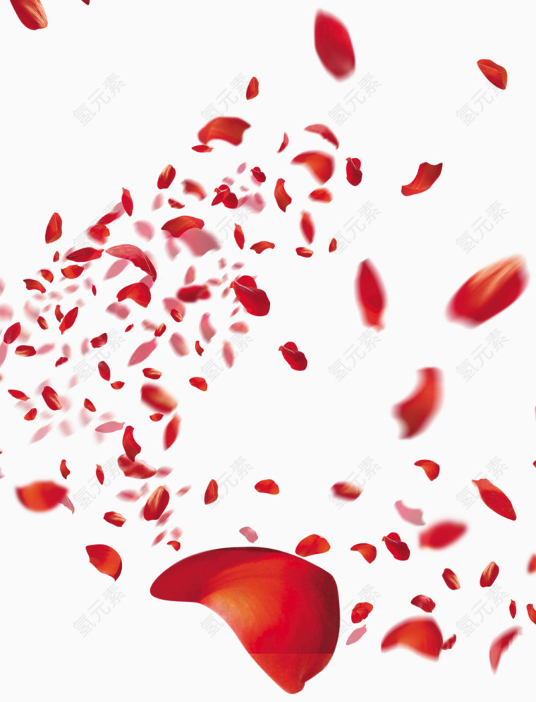 红色玫瑰花瓣高清png素材