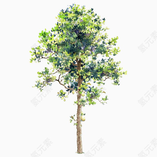 绿色树木元素绿色树木素材