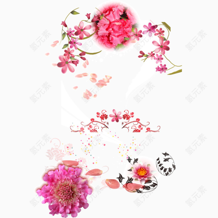 花朵背景 粉红色 花卉