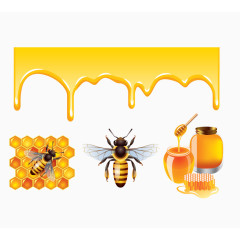 矢量从蜜蜂到蜂蜜