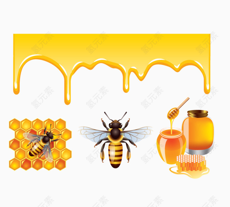 矢量从蜜蜂到蜂蜜