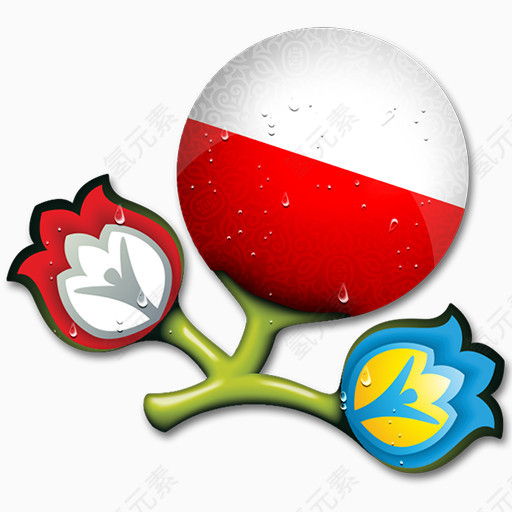 欧元波兰欧元- 2012 -团队-图标
